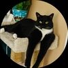 mommakitty3